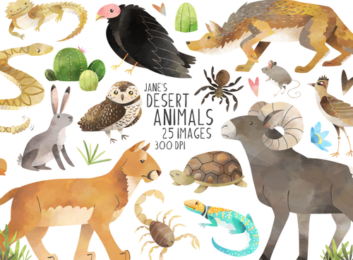 Desert Animals Graphics Set