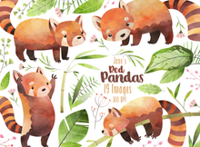 Red Panda Graphics Set