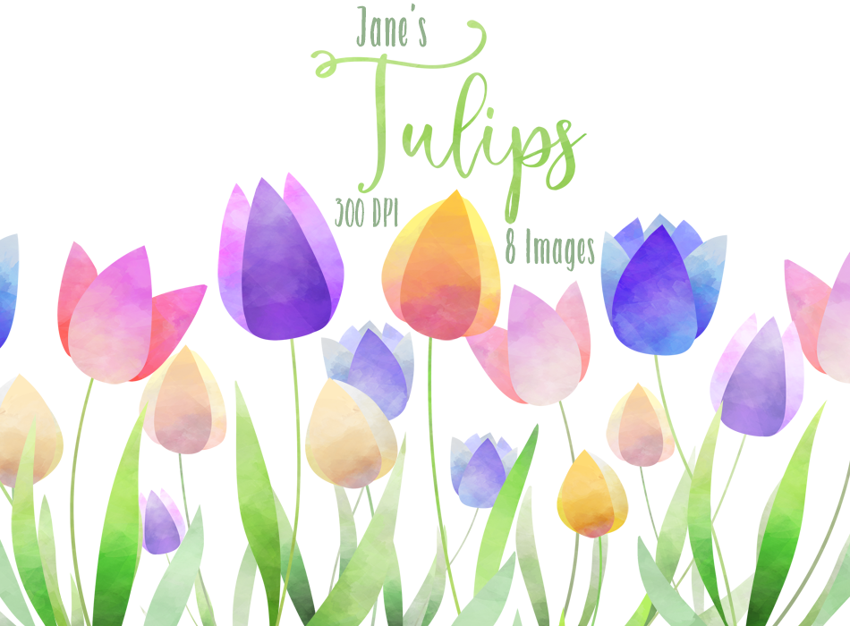 Tulips Graphics Set