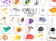 Fungi A-Z Graphics Set