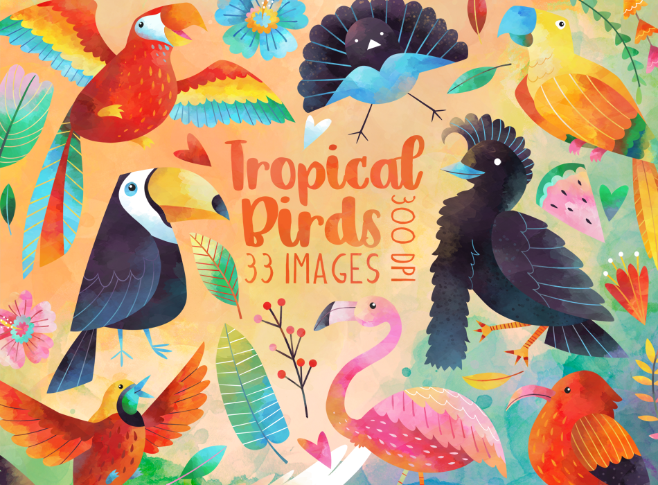 Tropical Birds Graphics Set