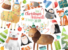Christmas Animals Graphics Set