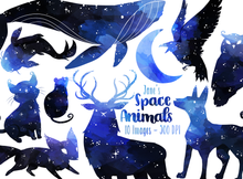 Space Animals Graphics Set