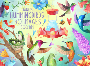 Hummingbirds Graphics Set