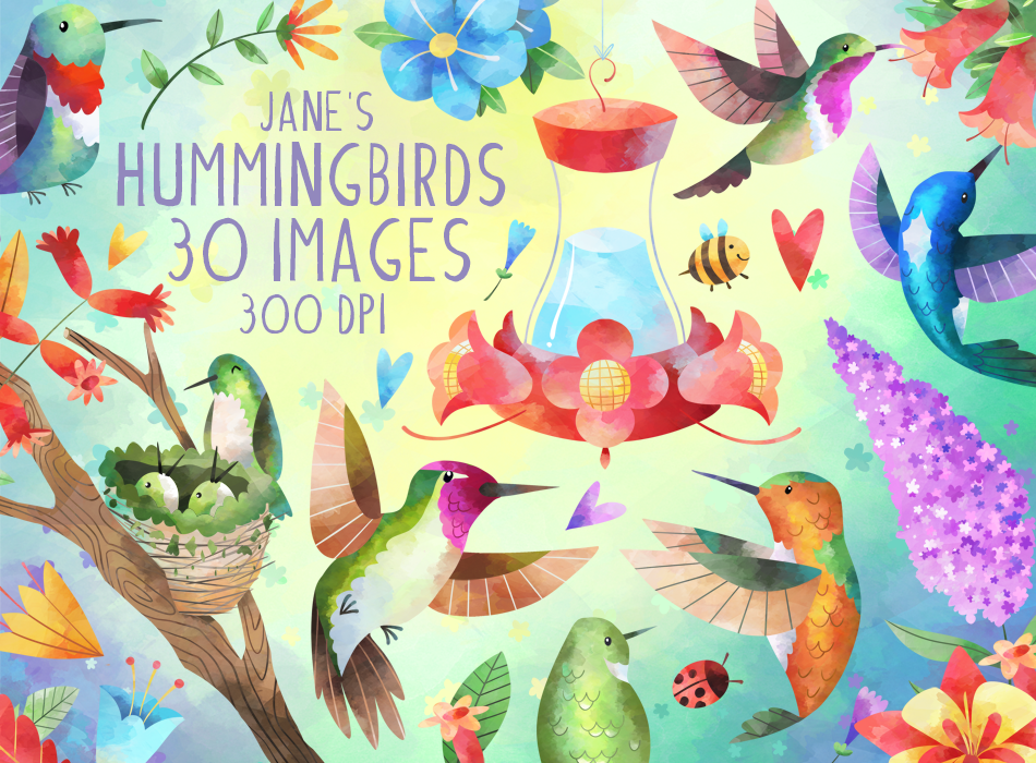 Hummingbirds Graphics Set