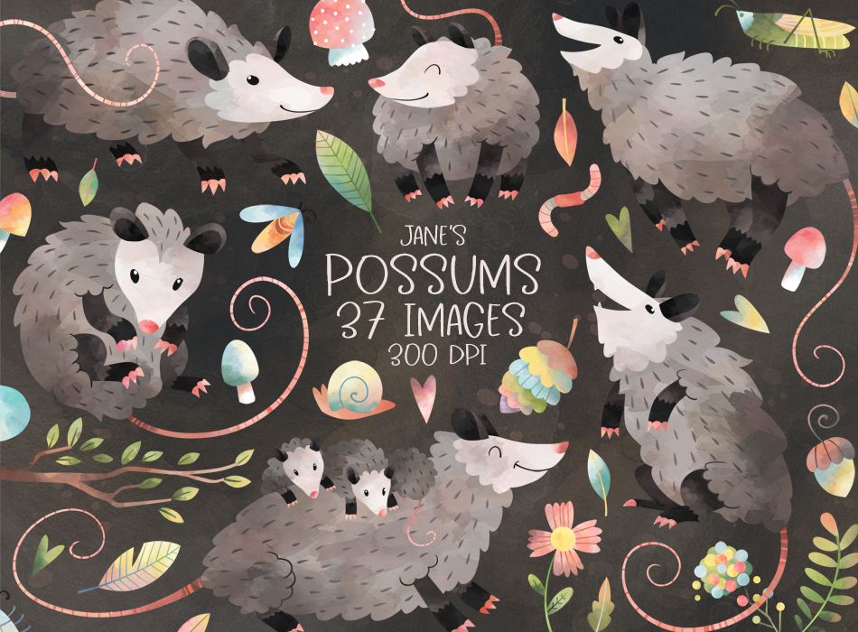 Possums Graphics Set