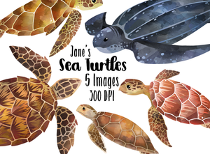Sea Turtles Graphics Set