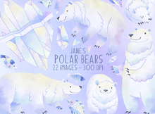 Polar Bear Graphics Set