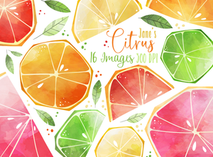 Citrus Graphics Set