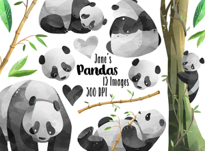 Panda Graphics Set