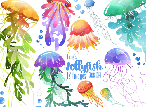 Jellyfish Graphics Set