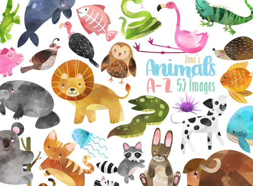 Alphabet Animals Graphics Set