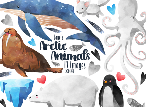 Arctic Animals Graphics Set