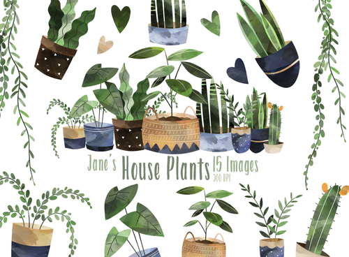 House Plants Graphics Set
