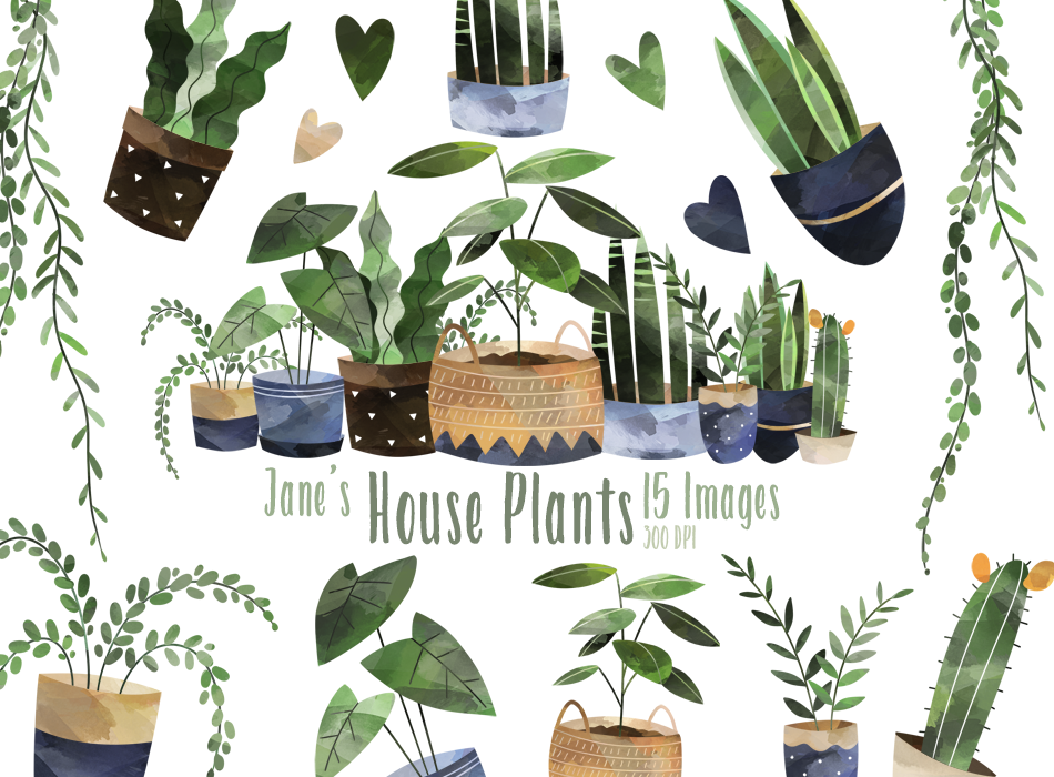 House Plants Graphics Set