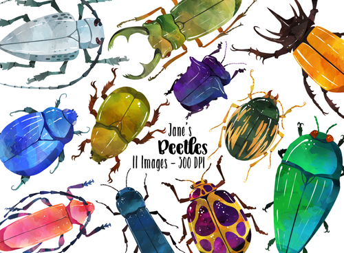 Beetles Graphics Set