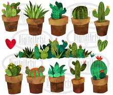 Cactus Graphics Set