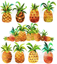 Pineapples Graphics Set