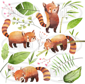 Red Panda Graphics Set