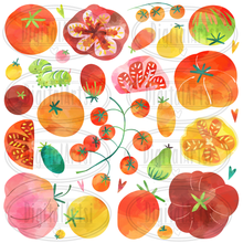 Tomatoes Graphics Set