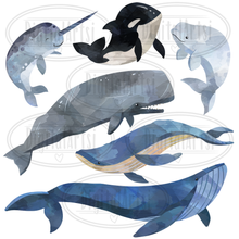 Whale Graphics Set