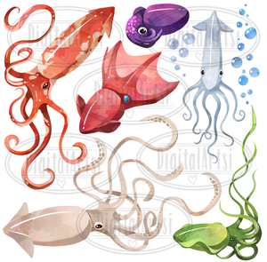 Squid Graphics Set