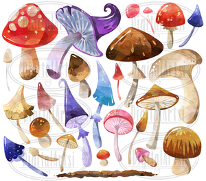 Mushroom Graphics Set
