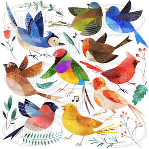 Birds Graphics Set