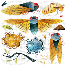 Cicadas Graphics Set