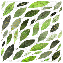 Leaves Graphics Set