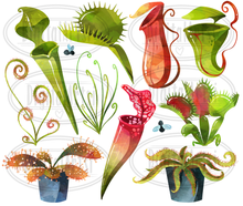 Carnivorous Plants Graphics Set