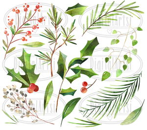 Winter Plants Graphics Set