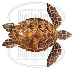 Sea Turtles Graphics Set
