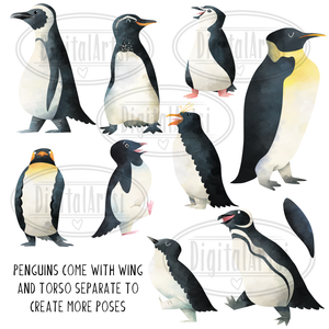 Penguins Graphics Set