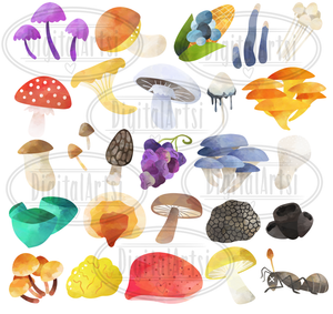 Fungi A-Z Graphics Set