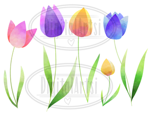 Tulips Graphics Set